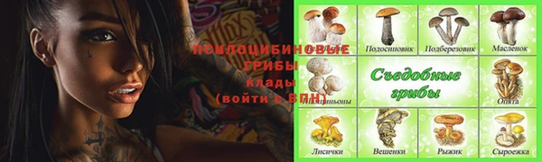 стафф Алексеевка